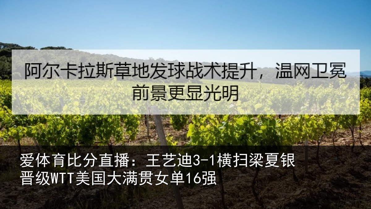 爱体育比分直播：王艺相关情况WTT美国大满贯女单16强