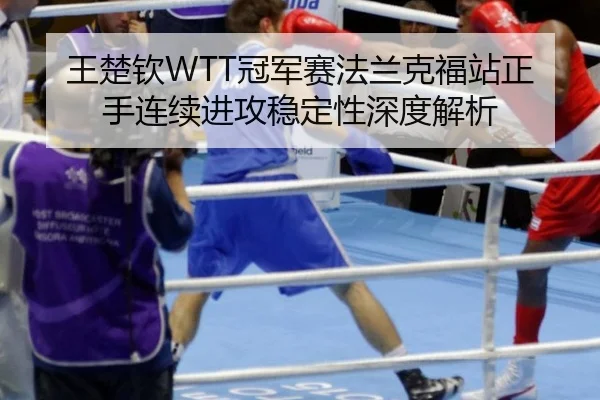 王楚钦WTT冠军赛法兰克福站正手连续进攻稳定性深度解析